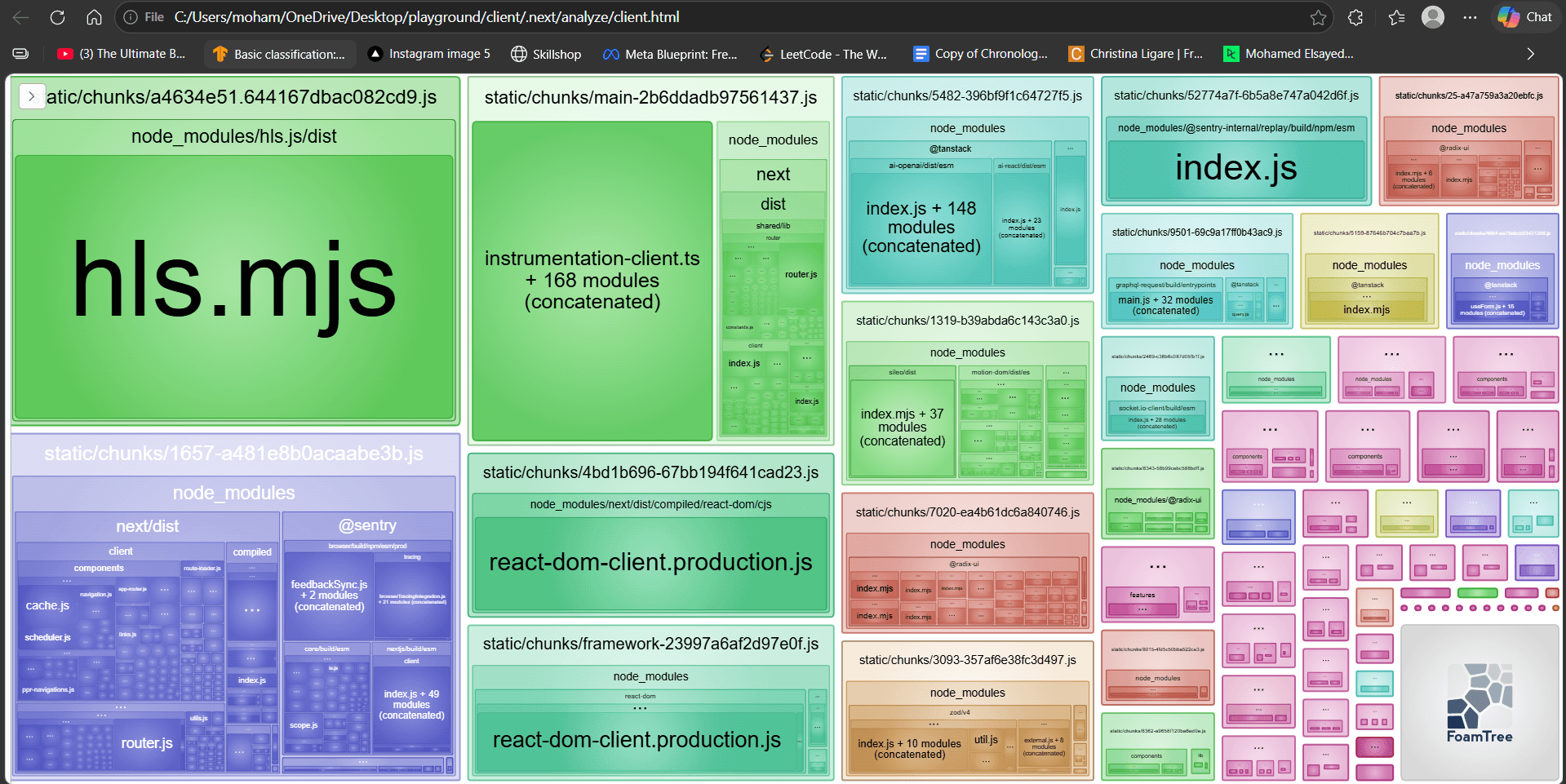 Client bundle treemap after optimization